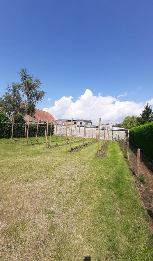Vakantiehuis 'T Wijngaardje Merkem Esterno foto